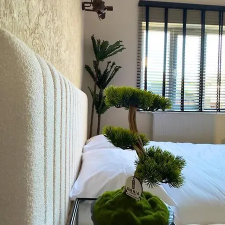 Contemporary Comfort In Taksim 이스탄불